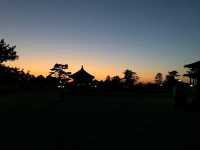 Make the most out of Nara