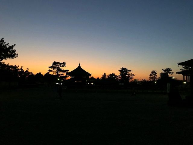 Make the most out of Nara