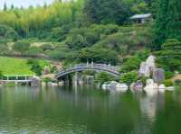 Hiroshima : สวนซันเคเอน Sankeien Garden