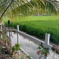 Chalet with Sawah View in Tangkak Johor!