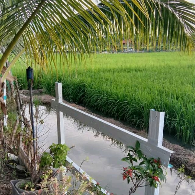 Chalet with Sawah View in Tangkak Johor!