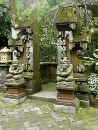 Embrace the Wild: My Adventure at Taman Safari Indonesia