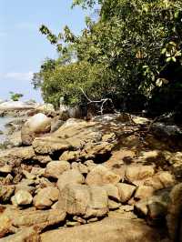 Serenity by the Sea: My Tranquil Escape to Lin Je Kong Temple and Pantai Pasir Giam