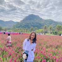 สวนดอกไม้ที่รอคอย🌻🌼🌺 ฮอกไกโด เขาใหญ่
