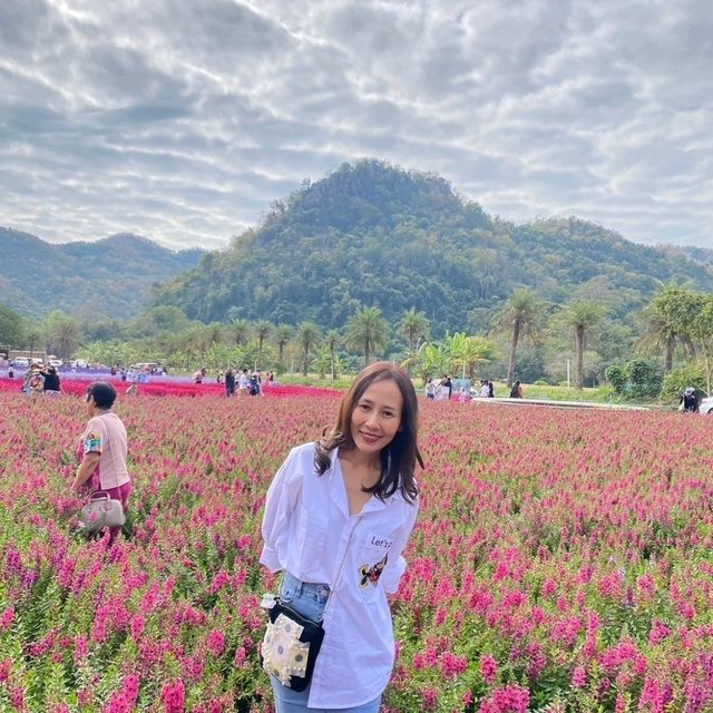 สวนดอกไม้ที่รอคอย🌻🌼🌺 ฮอกไกโด เขาใหญ่