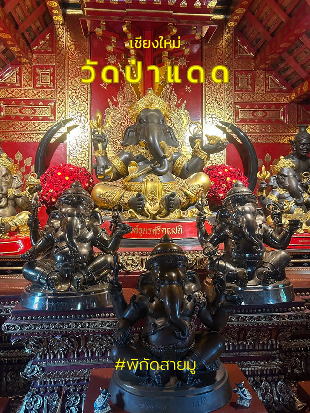 🔮พาไปมูวัขอพรพระพิฆเนศ วัดป่าแดด 