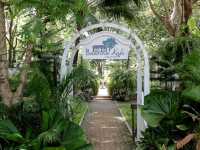 บ้านนากาแฟ คาเฟ่ราชบุรีสุดมินิมอล