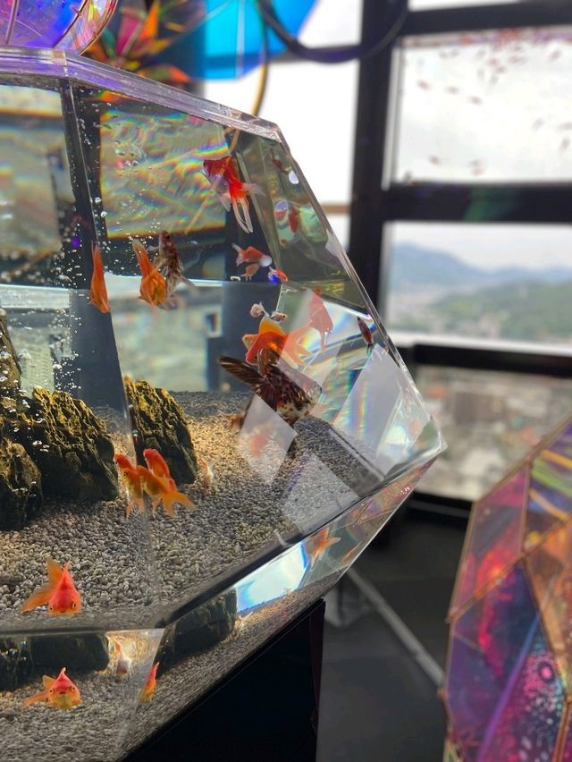 【空に舞う金魚の世界】