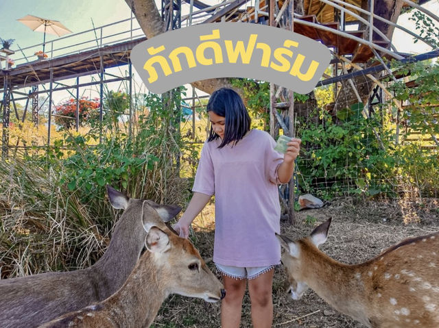 ภักดีฟาร์ม พิษณุโลก