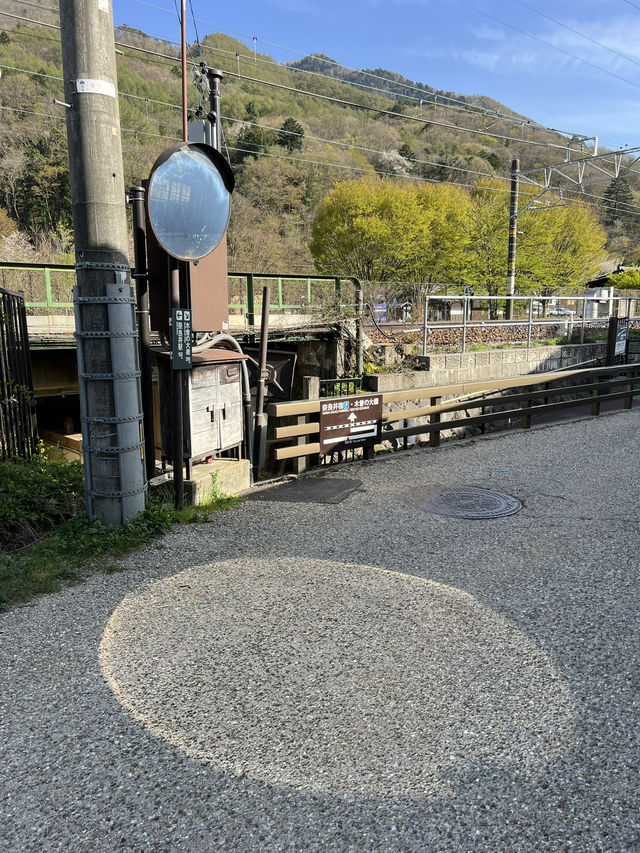 【長野】レトロな駅舎🚉沿線に梅が咲き誇る駅