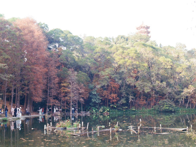 Xianhu Botanical Park — Fairytale Views at the Fairy Lake