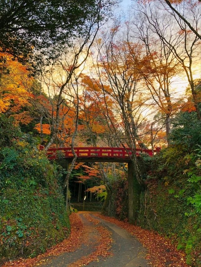 【もみじ神社】