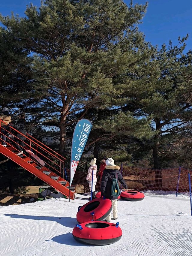 올겨울 마지막 도파민 눈썰매놀이는 여기🤍
