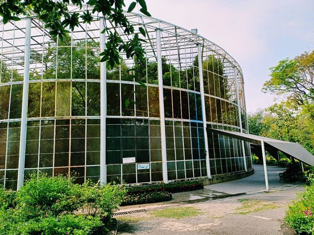 泰國曼谷特色博物館景點:曼谷蝴蝶館。免費參觀，適合打卡拍照📸親子遊
