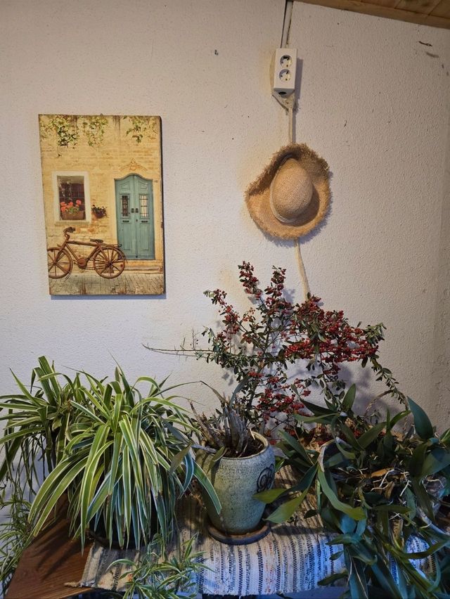 태안 몽산포해수욕장 근처 베이커리카페🥖🥞