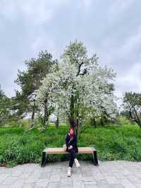 Botanical Garden Almaty, Kazasthan😍