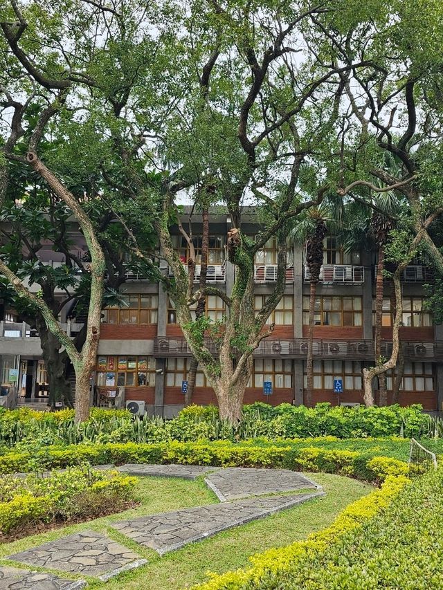 클래식한 서양 건축 양식의 붉은 빛 건물이 예쁜 대학교 🧱🏢