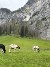 A Day of Leisurely Stroll in Lauterbrunnen! 