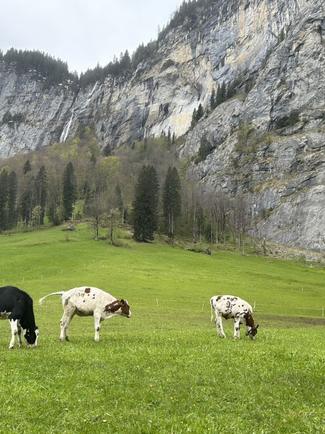 A Day of Leisurely Stroll in Lauterbrunnen! 