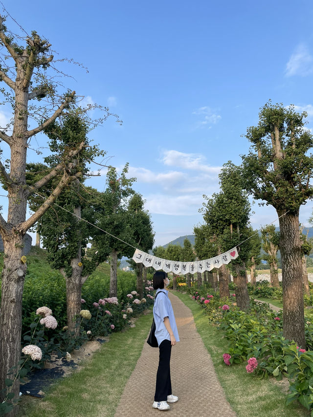 장성 산책길 황룡강
