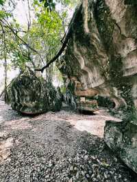 Paku Rock Maze Garden: A Nature Lover’s Puzzle
