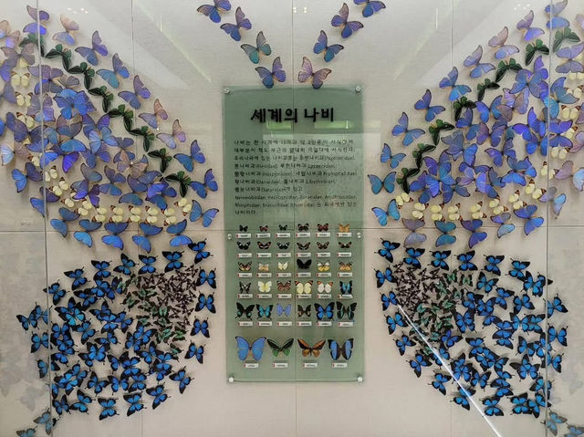 경상북도 예천군 곤충 생태 체험관 입니다.