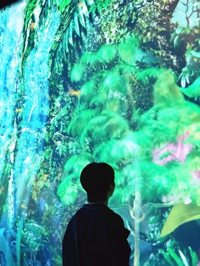 📍Cloud Forest