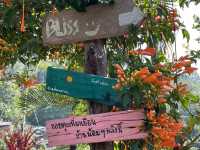 Bliss Homestay ~ แม่แตง เชียงใหม่