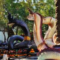 ชมบารมีองค์พญานาคราช ที่วัดป่าปากโดม