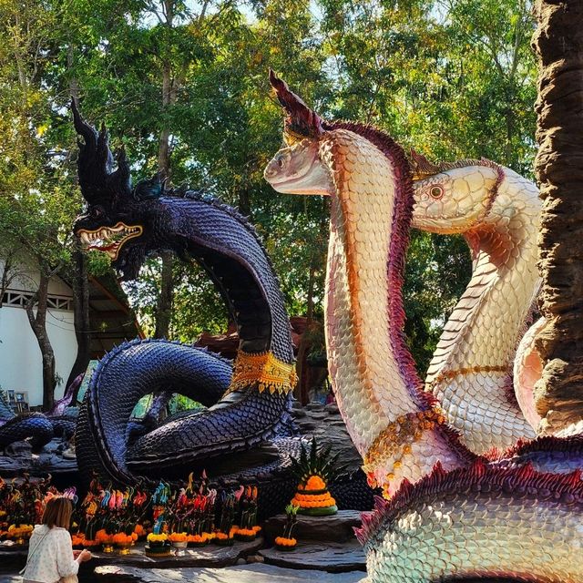 ชมบารมีองค์พญานาคราช ที่วัดป่าปากโดม