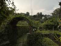 Kebun Kebun Bangsar: A Hidden Farm with a City View!