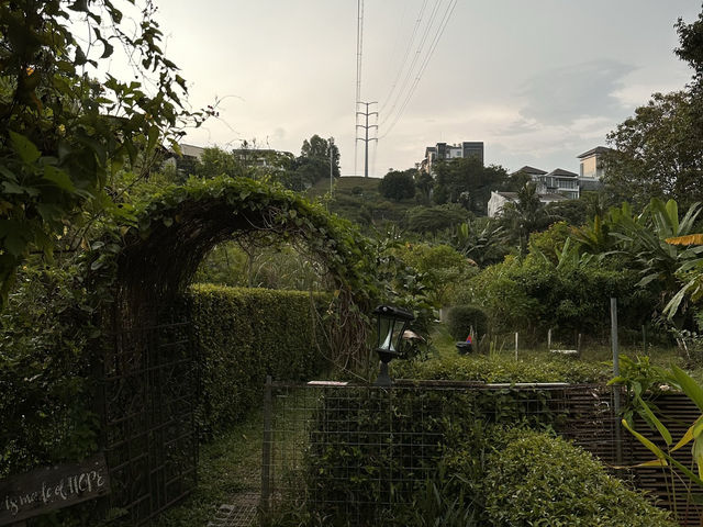 Kebun Kebun Bangsar: A Hidden Farm with a City View!