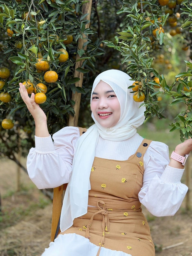 สวนส้มบ้านในไร่ อ.อ่าวลึก จ.กระบี่ 🍊🪴
