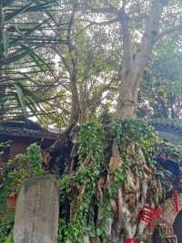 Gulong Temple: The Oldest Temple in Huanglongxi Ancient Town