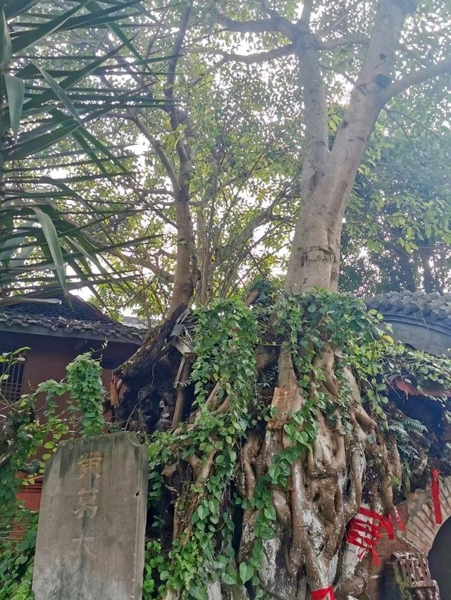 Gulong Temple: The Oldest Temple in Huanglongxi Ancient Town