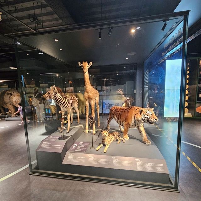 【台北】定期推出不同主題的科學特展，每次展覽都極具教育與娛樂性。