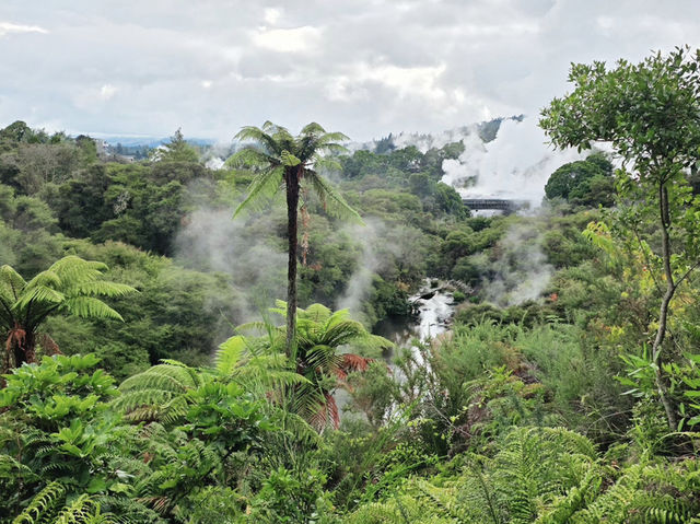 新西蘭｜羅托魯瓦毛里文化｜地熱噴泉⛲️