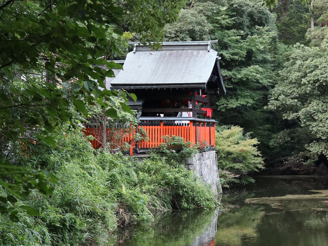 A Journey Through the Thousand Torii: Hiking Fushimi Inari Shrine