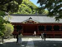 A Tranquil Stroll Through History: Tsurugaoka Hachimangu in Kamakura