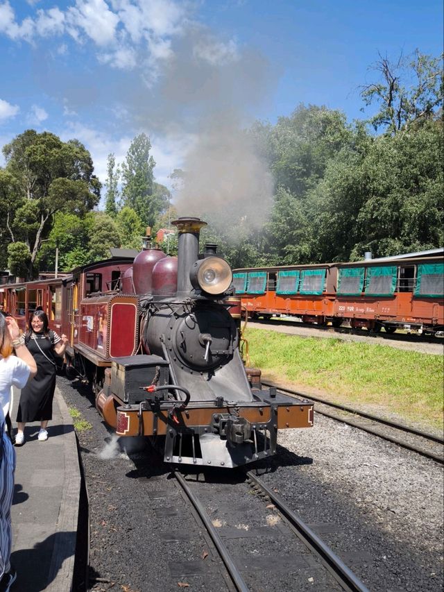 Scenic Journey on the Puffing Billy Railway in Melbourne