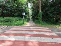 Katong Walkway
