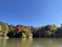紐約中央公園Central Park——繁忙都市中的世外桃源