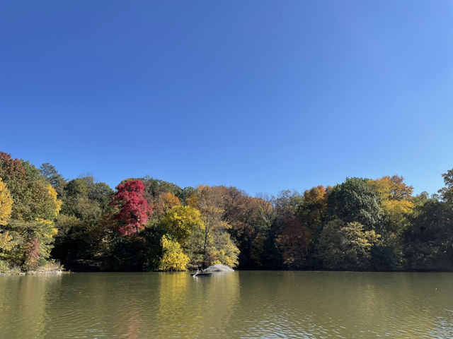 紐約中央公園Central Park——繁忙都市中的世外桃源