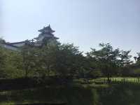 【静岡】掛川城🏯