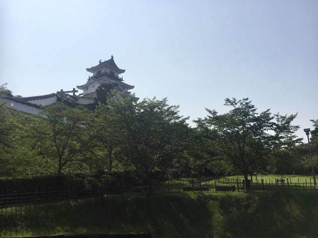 【静岡】掛川城🏯