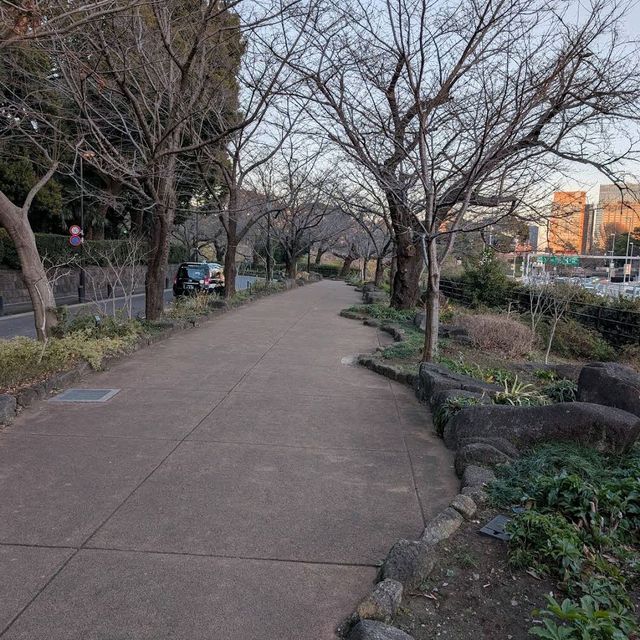 Chidorigafuchi (千鳥ヶ淵)