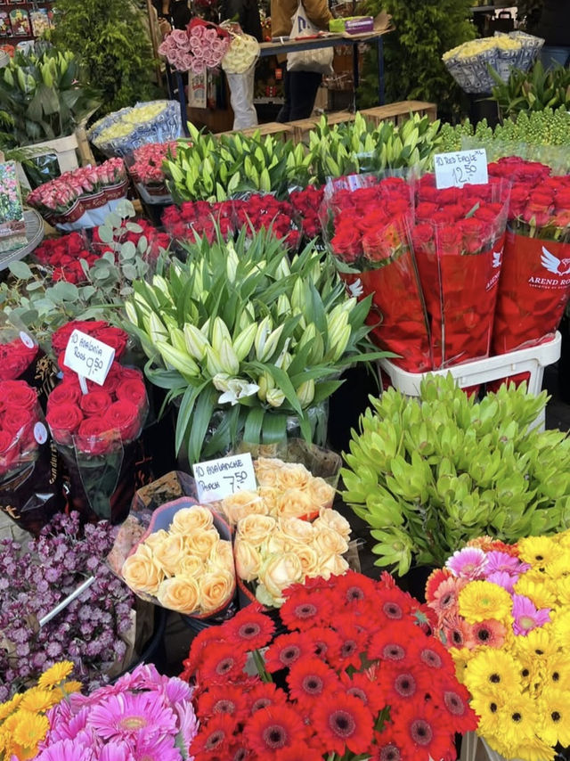 4 Days, 3 Nights in Amsterdam: A Memorable Escape from Malaysia