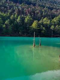 "Yunnan: The Hidden Gem of China"