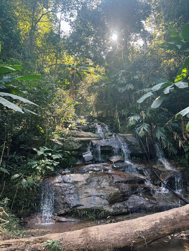 Doi Suthep-Pui National Park
