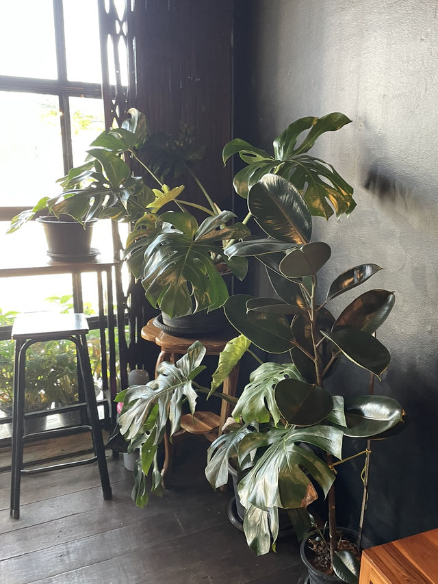 ออน เดอะ เวย์ คาเฟ่ สูงเม่น 🌳